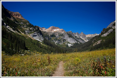 Spider Meadow, with Red Mountain in the distance.