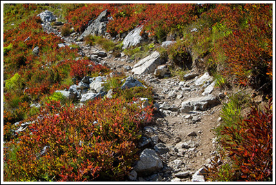 The trail with September color on each side.